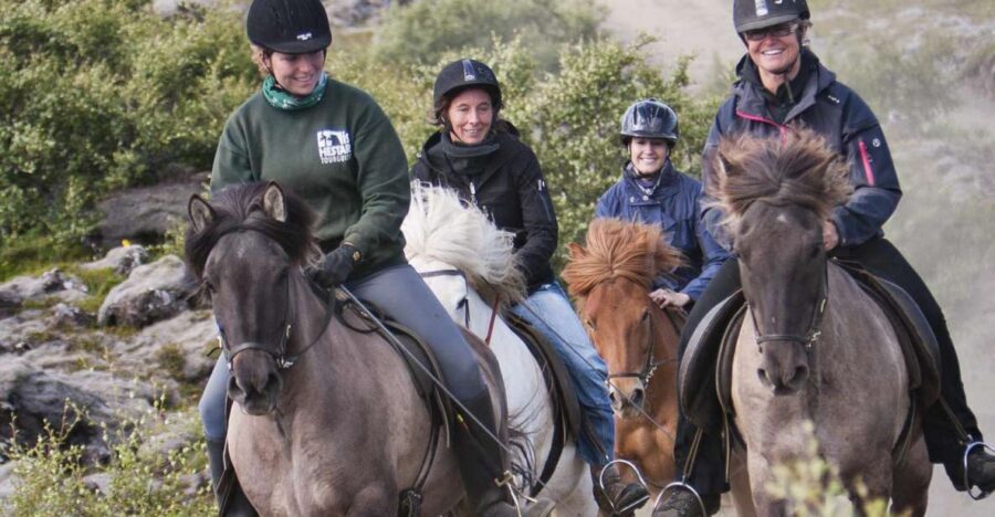From Reykjavík: Viking Horseback Tour in Hafnarfjörður - Horse matching and barn atmosphere: the part that sets the tone
