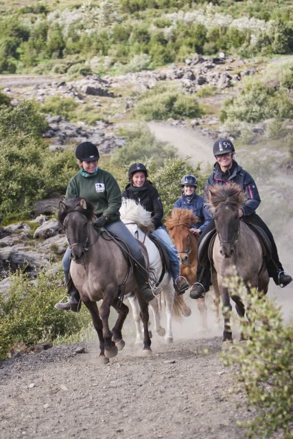 From Reykjavík: Viking Horseback Tour in Hafnarfjörður - Getting from pickup to the saddle: what your half-day really looks like