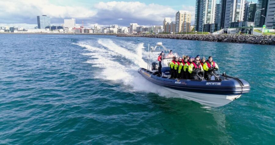 From Reykjavik: Whale Watching Tour by Speedboat - Faxaflói Bay: the real reason this tour exists