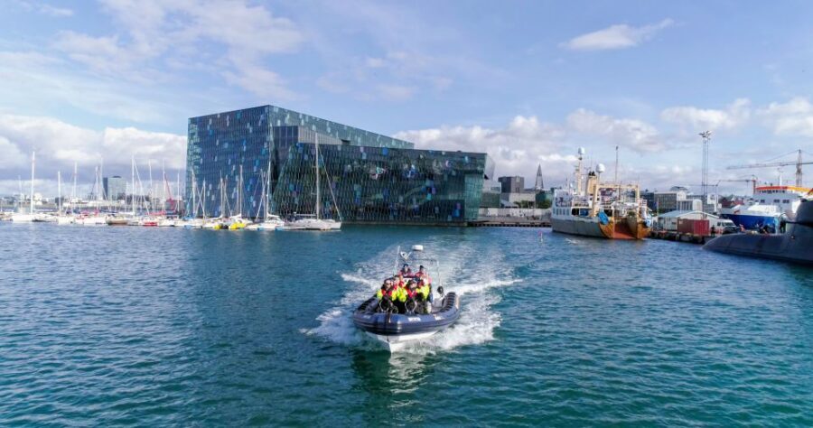 From Reykjavik: Whale Watching Tour by Speedboat - Price and value: why $192 can be fair (or not)