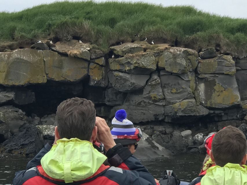 From Reykjavik: Whale Watching Tour by Speedboat - Guidance quality: facts you can use while you scan