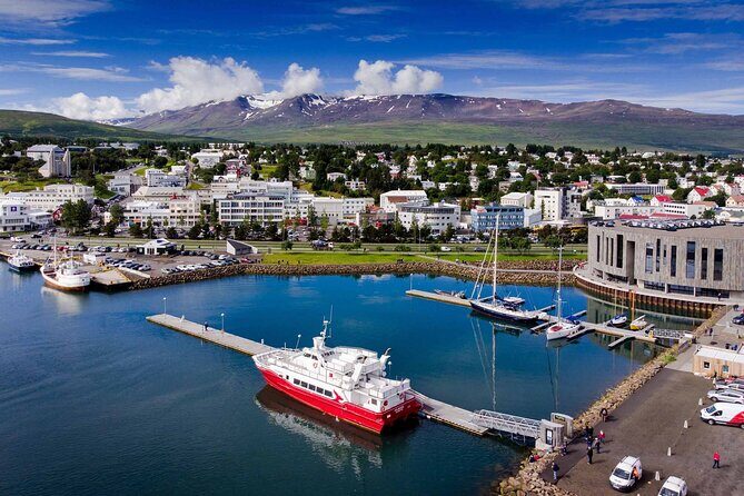 Goðafoss Waterfall & Forest Lagoon from Akureyri Port - A smooth Akureyri Port day: transfers, timing, and small-group comfort