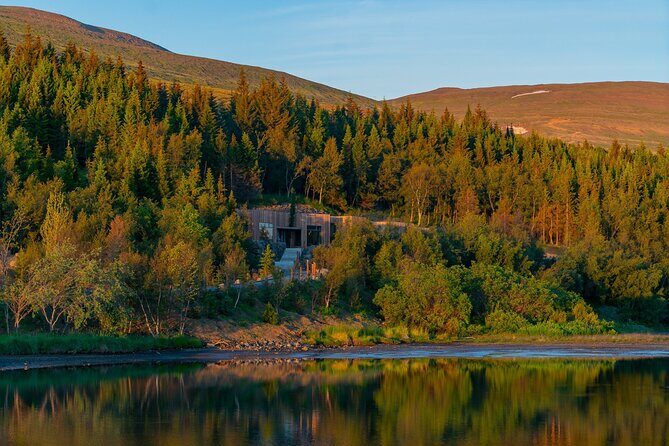 Goðafoss Waterfall & Forest Lagoon from Akureyri Port - What the Wi-Fi, guide talk, and bus ride add to your day