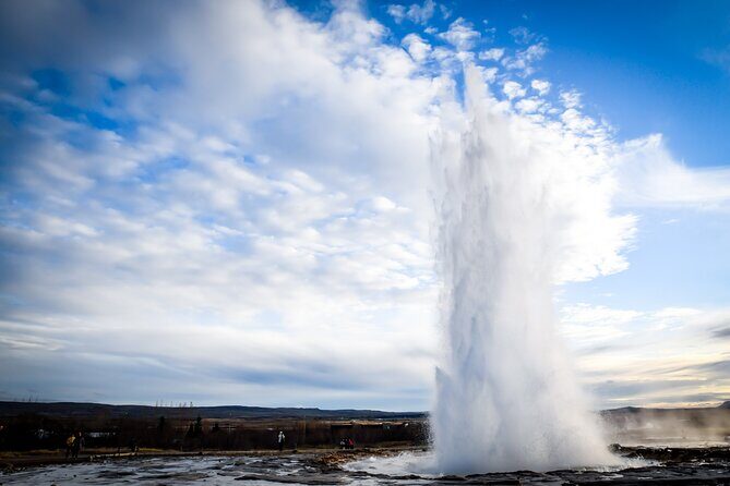 Golden Circle, Secret Lagoon & Friðheimar (Small Group) - Friðheimar Tomato Farm: geothermal greenhouses and what not to skip