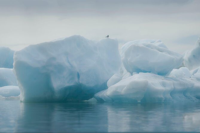 Guided Glacier Lagoon and Diamond Beach Day Trip from Reykjavik - Freysnes lunch break and the real meaning of timing