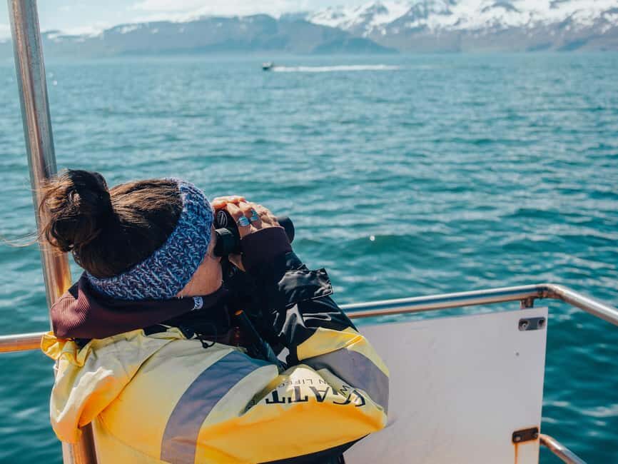 Húsavík: Family-Run and Guided Whale Watching Tour - Cold spray, suits, and the comfort level that affects your photos