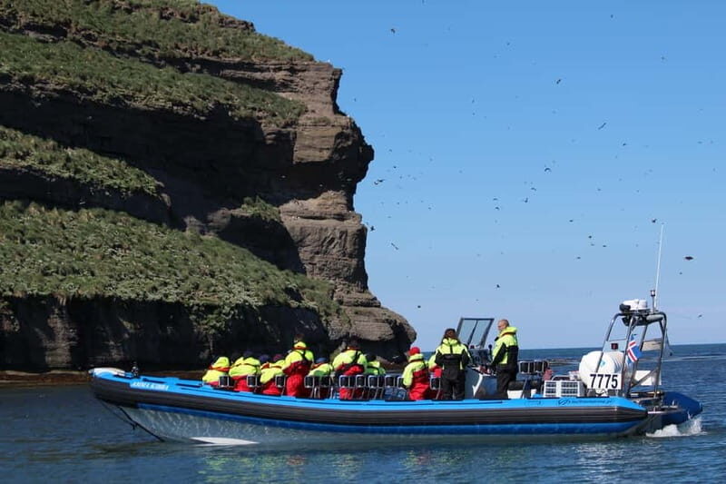 Húsavík: Original Big Whale Safari & Puffins by Speedboat - Practical tips I’d use before you go