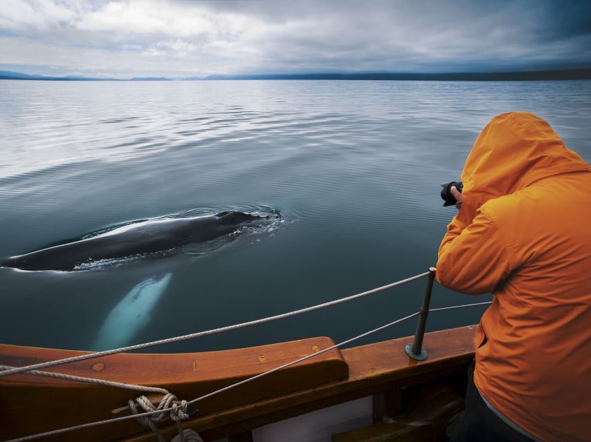 Husavik: Whale Watching on a Carbon Neutral Oak Boat - What’s included onboard (and what you must bring)