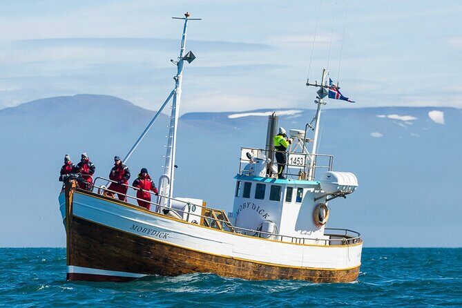 Húsavík Whale Watching Tour, family owned and operated - Key highlights worth caring about