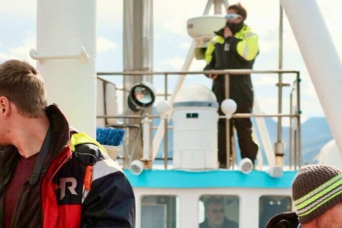 Húsavík Whale Watching Tour, family owned and operated - Your guides on board: what you’ll learn while you wait