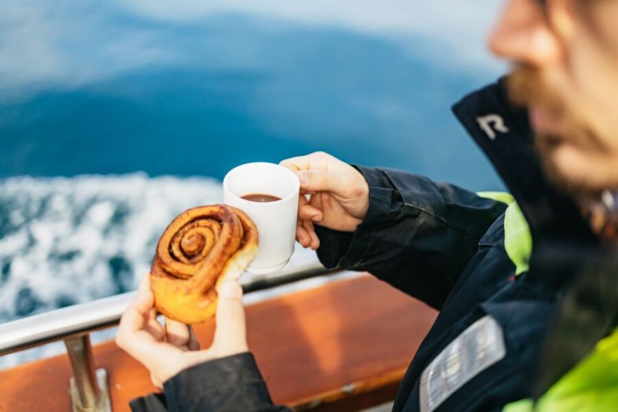 Húsavík: Whale Watching Tour with Guide - Who should book this, and who should plan differently