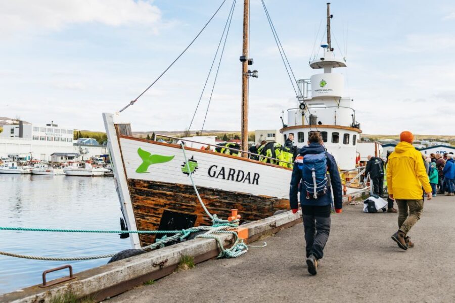 Húsavík: Whale Watching Tour with Guide - Live guide commentary: how it improves your spotting game