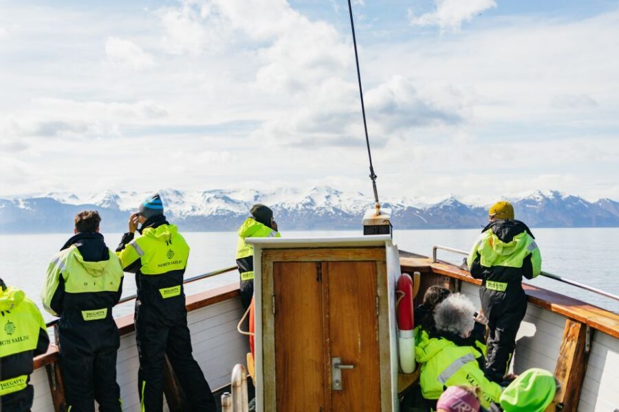 Húsavík: Whale Watching Tour with Guide - What happens during the tour (a realistic rhythm)