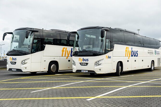 Iceland: Airport Transfers between Keflavik and Reykjavik Hotels - Quick Hits: Why This Transfer Feels Worth It