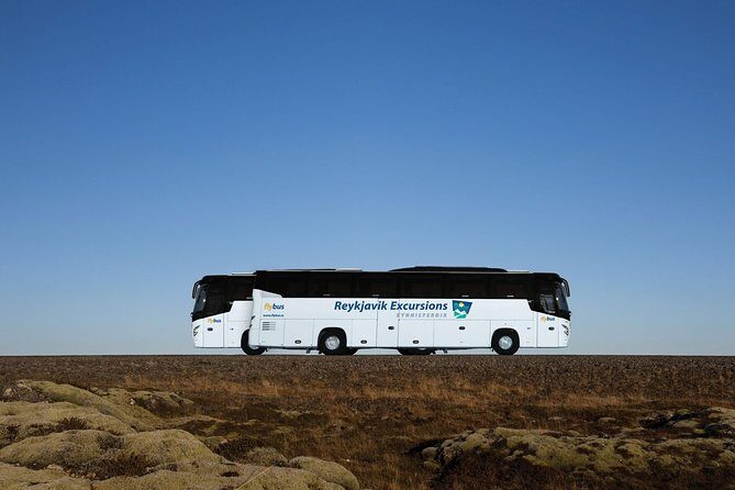 Iceland: Airport Transfers between Keflavik and Reykjavik Hotels - Drop-Off Reality Check: Hotel Stops, Walks, and Luggage