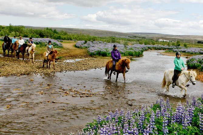 Icelandic Horseback Riding Tour Including Pick Up from Reykjavik - Reykjavik Pickup That Actually Respects Your Time