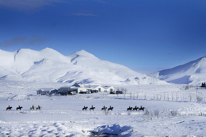Icelandic Horseback Riding Tour Including Pick Up from Reykjavik - Should You Book Laxnes Horse Farm From Reykjavik?
