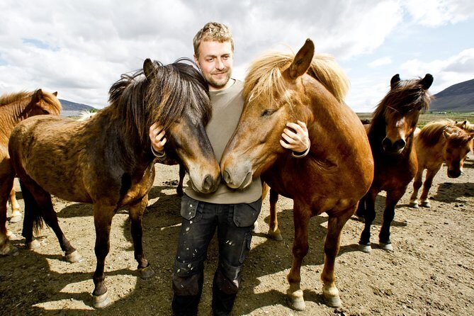 Icelandic Horseback Riding Tour Including Pick Up from Reykjavik - Gear Fitting and Horse Matching: The Start That Makes or Breaks It