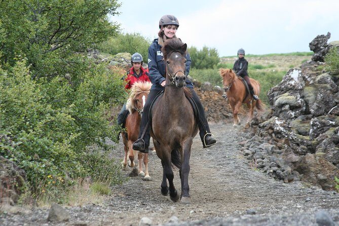 Icelandic Horseback Riding Tour with Pickup Option from Reykjavik - Key things I’d plan around before you go