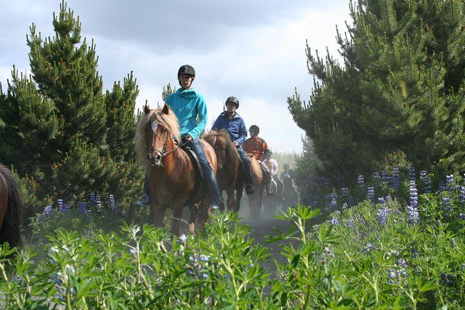 Icelandic Horseback Riding Tour with Pickup Option from Reykjavik - What you’ll see while riding through lava fields and moorland