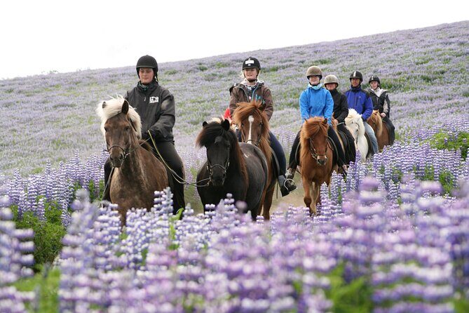 Icelandic Horseback Riding Tour with Pickup Option from Reykjavik - Value check: what you’re paying for at $133.02 per person