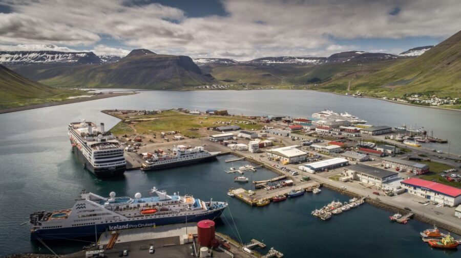 Isafjordur: Dynjandi Waterfall Tour and Icelandic Farm Visit - Guides and drivers: narration, humor, and the value of safe timing
