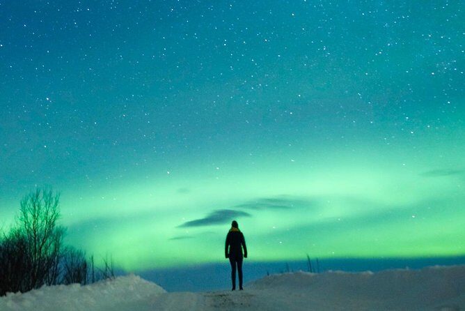 Northern Lights Bus Tour from Reykjavik with Hot Chocolate - Hot Chocolate on an Aurora Night: Cozy Value, Not Just a Bonus