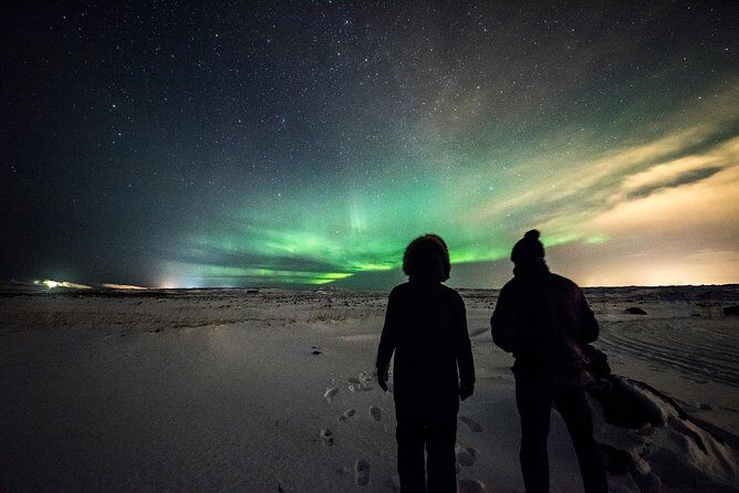 Northern Lights Bus Tour from Reykjavik with Hot Chocolate - Group Size, Pickup Timing, and the Reality of a Bus Tour