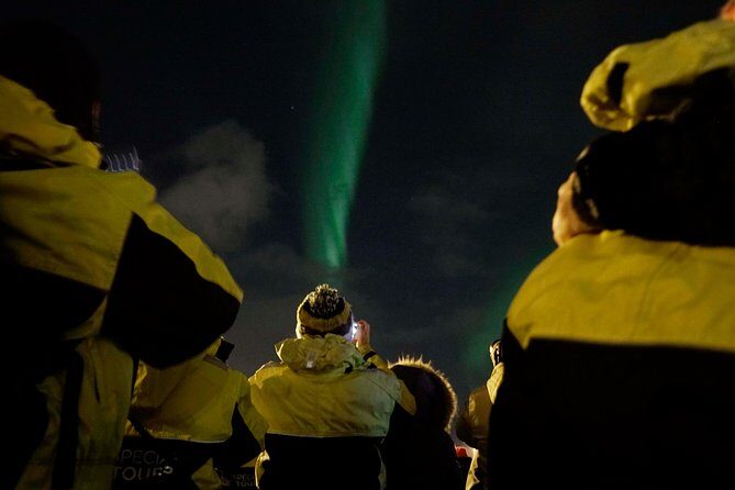 Northern Lights Cruise from Reykjavik Including Photos - What the Aurora Hunt Actually Feels Like On Board