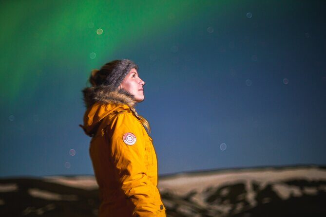 Northern Lights Minibus Tour with Hot Cocoa, Blankets & Photos - Price and Value: What You Really Get for Around $106