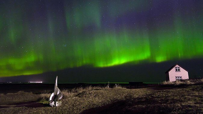 Northern Lights Tour from Reykjavik with Lifetime Guarantee - The viewing stop: pure white ice-and-snow time, chosen for that forecast