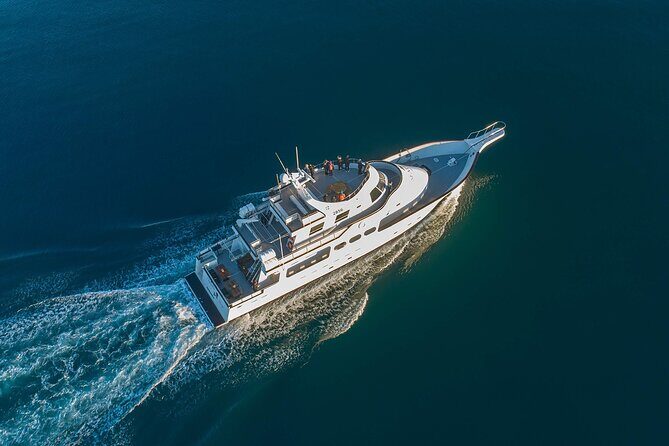 Northern Lights Yacht Cruise in Reykjavik - Old Harbour check-in and the yacht vibe you’ll feel fast