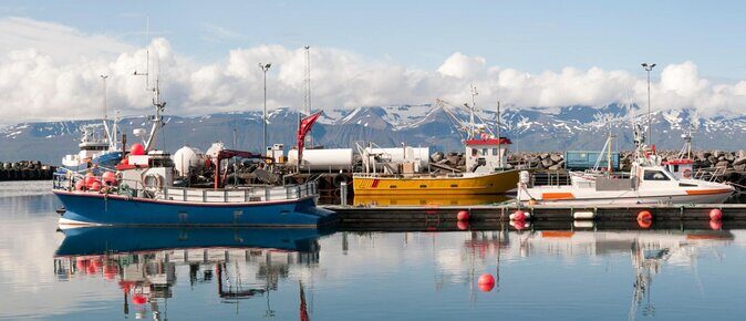Original Big Whale Safari & Puffins Speedboat Tour from Húsavík - Key Things I’d Focus On