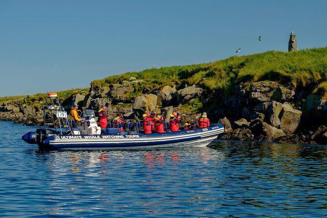 Premium Small-Group Puffin & Bird Watching tour from Reykjavík - Stop 2 at Akurey: how you get closer to nesting puffins
