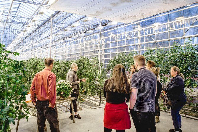 Private Golden Circle, Sky Lagoon and Friðheimar Greenhouse Lunch - What you’re paying for: value check on a private day in Iceland