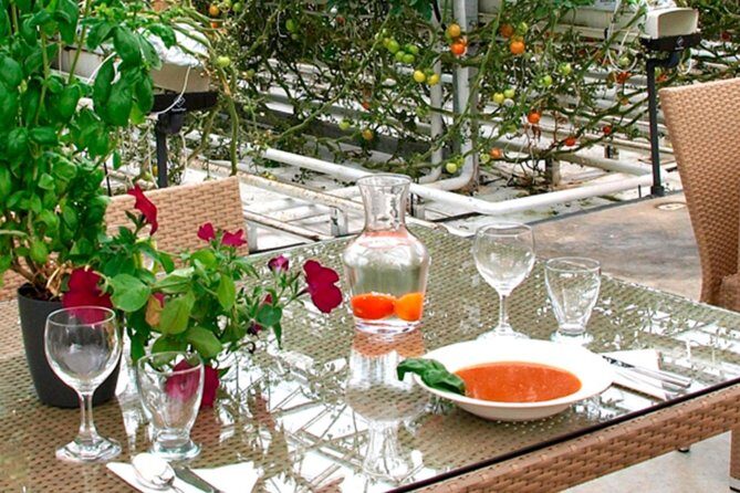 Private Golden Circle, Sky Lagoon and Friðheimar Greenhouse Lunch - What to wear and bring for Iceland weather (so your day stays fun)