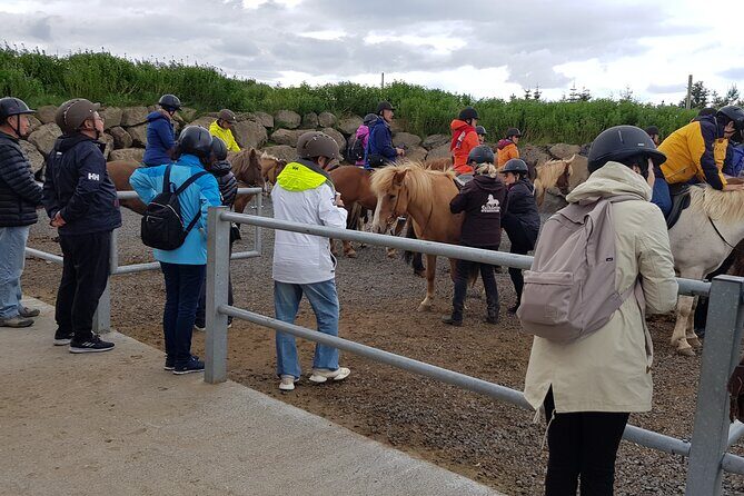 Red Lava Horse Riding Tour From Reykjavik - Pickup From Reykjavik Hotels and BSI: The Timing That Can Catch You