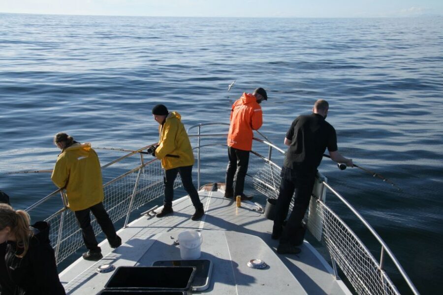 Reykjavik: 3-Hour Sea Angling Gourmet Experience Tour - The Hands-On Part: How the Crew Gets You Fishing Fast