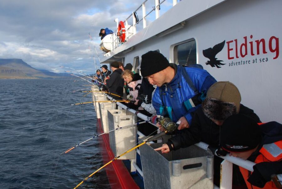 Reykjavik: 3-Hour Sea Angling Gourmet Experience Tour - Time on the Open Water: Views, Wildlife, and the Mood Shift