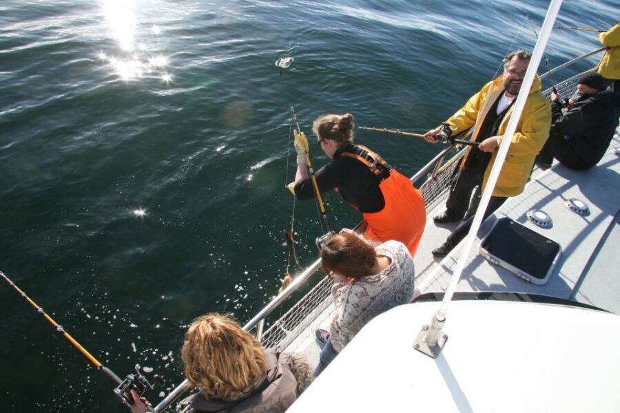 Reykjavik: 3-Hour Sea Angling Gourmet Experience Tour - What to Bring (and What to Leave Behind)