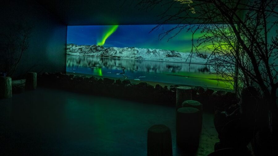 Reykjavik: Aurora Reykjavik The Northern Lights Center Entry - Northern lights, explained in a real museum setting