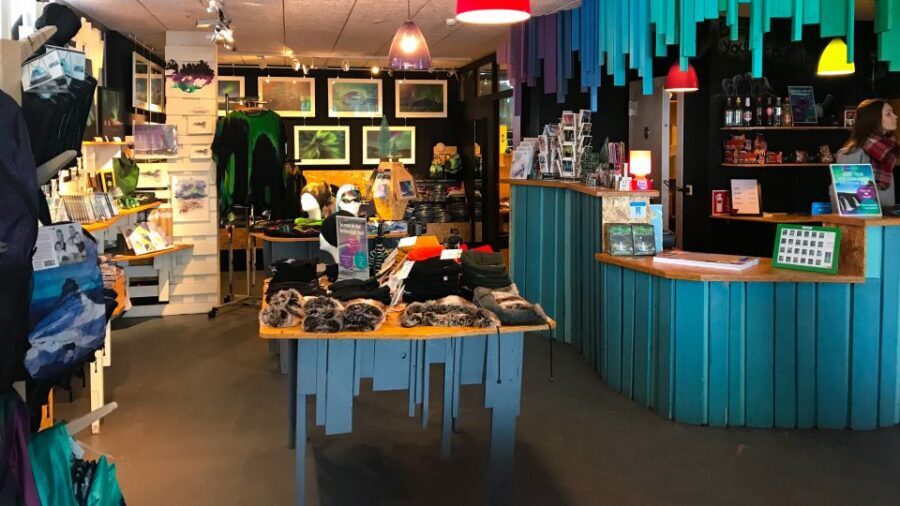 Reykjavik: Aurora Reykjavik The Northern Lights Center Entry - Coffee, local art, and what to do after you leave