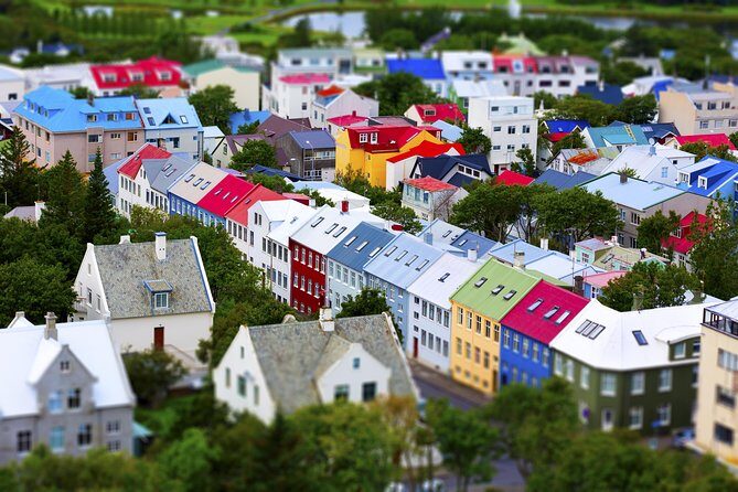 Reykjavik City Walking Tour - Tjörnin Pond: Geese, Swans, and Iceland’s Waterline Thinking