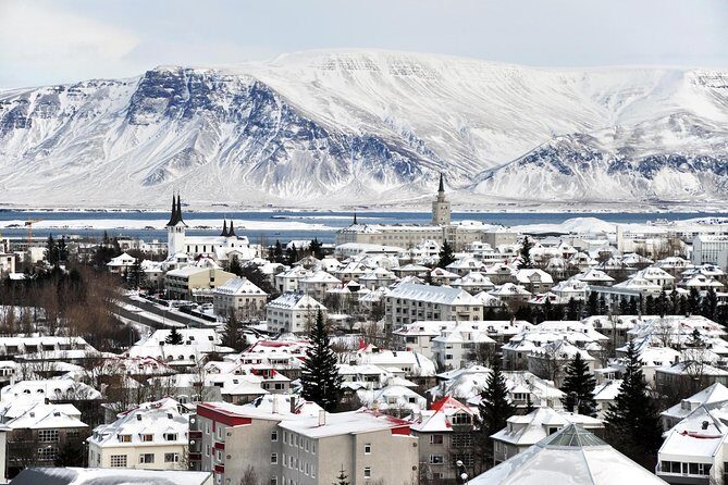 Reykjavik City Walking Tour - City Hall, Parliament Area, and Iceland’s Geology on a Giant Map