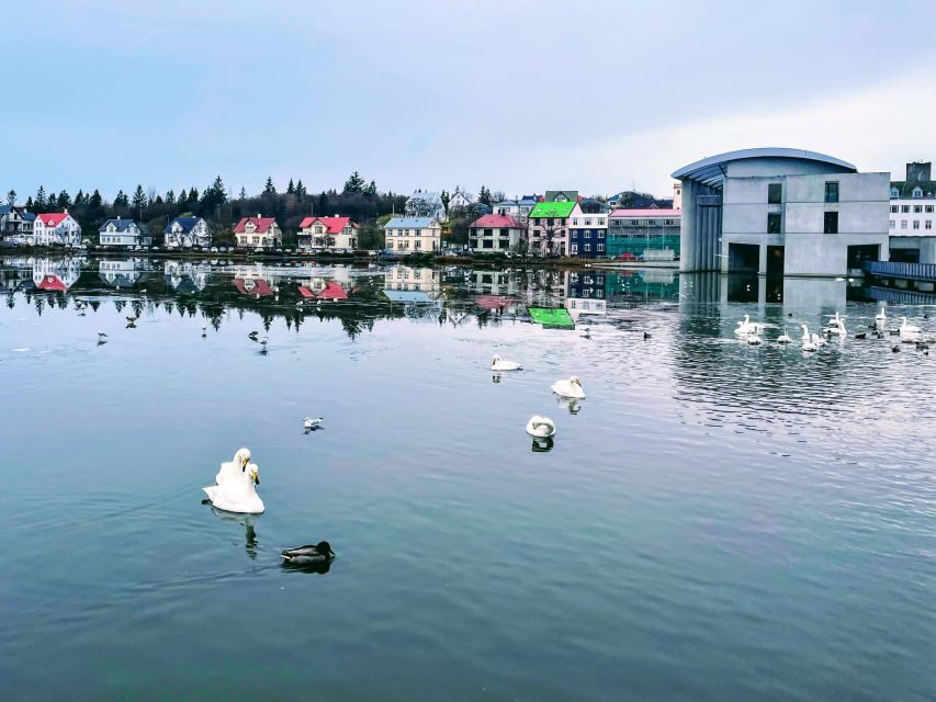 Reykjavik: City Walking tour in Small Group with Local Guide - Price and value: is $51 for 2.5 hours a fair deal?