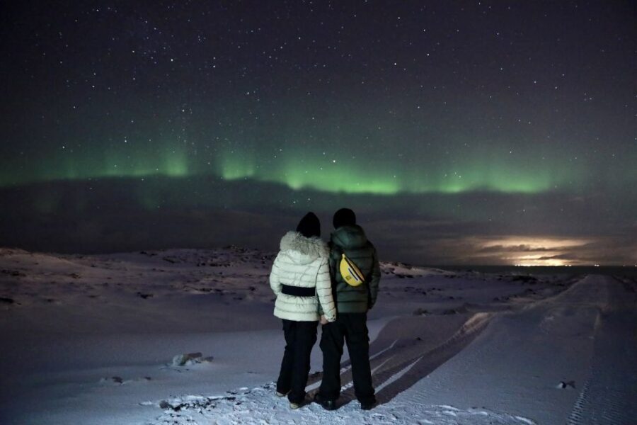Reykjavík: Golden Circle, Blue Lagoon, and Aurora Tour - Who This Tour Fits Best (and Who Should Rethink It)