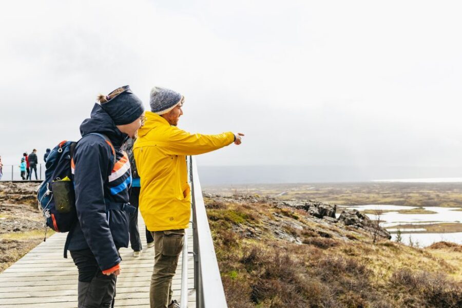 Reykjavik: Golden Circle, Crater & Blue Lagoon Minibus Tour - Lunch and the geyser-area break: plan for food costs