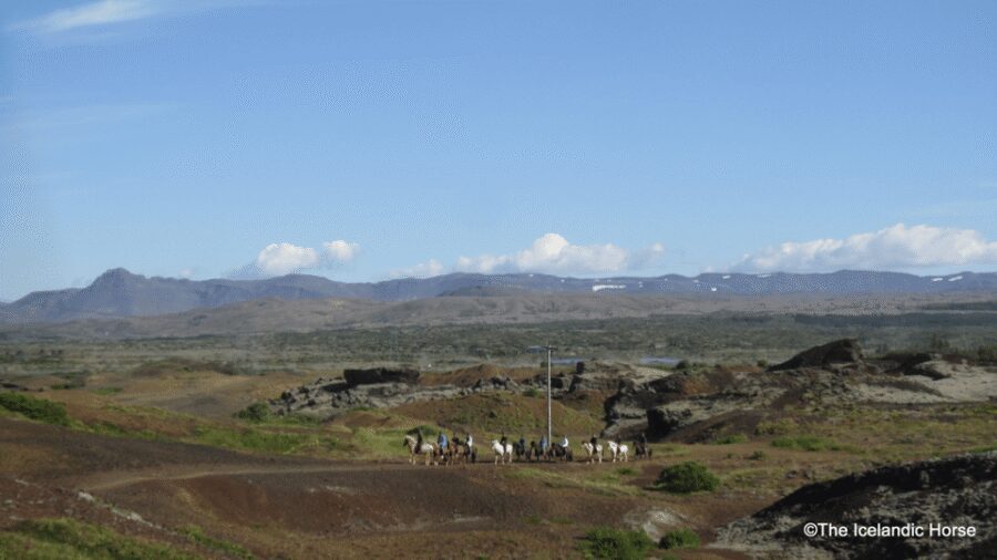 Reykjavík: Horse Riding Tours - What the guides add: tips, jokes, and lots of photo help