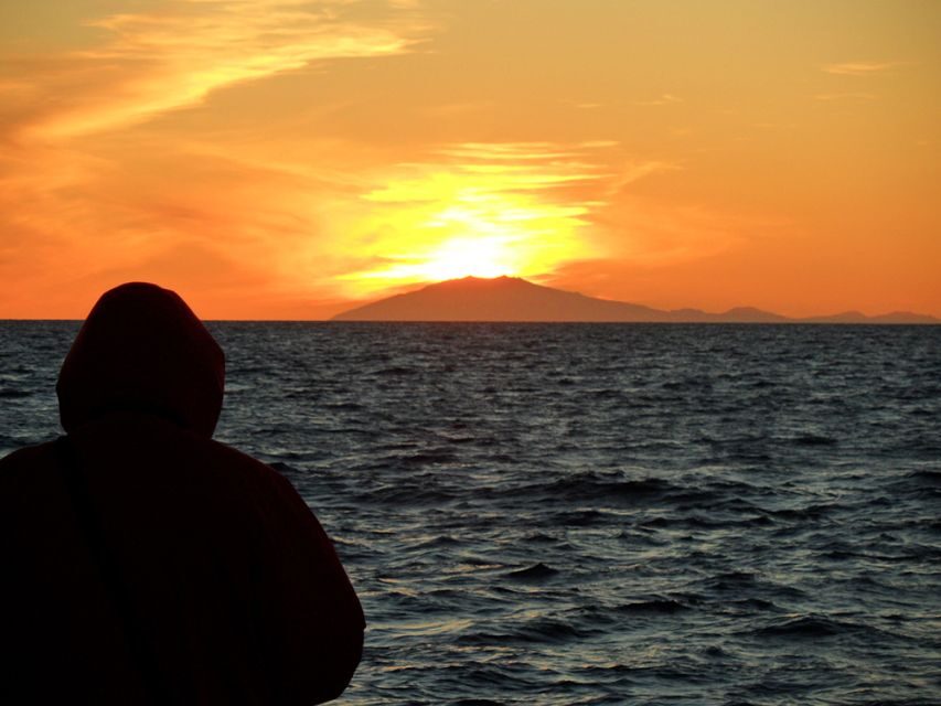 Reykjavik: Midnight Sun Whale Watching Tour - Key highlights that matter on this Elding midnight sun cruise