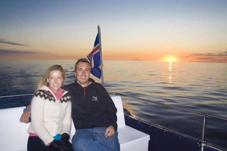 Reykjavik: Midnight Sun Whale Watching Tour - Meeting at Elding: start time prep and the Whale Watching Centre loop